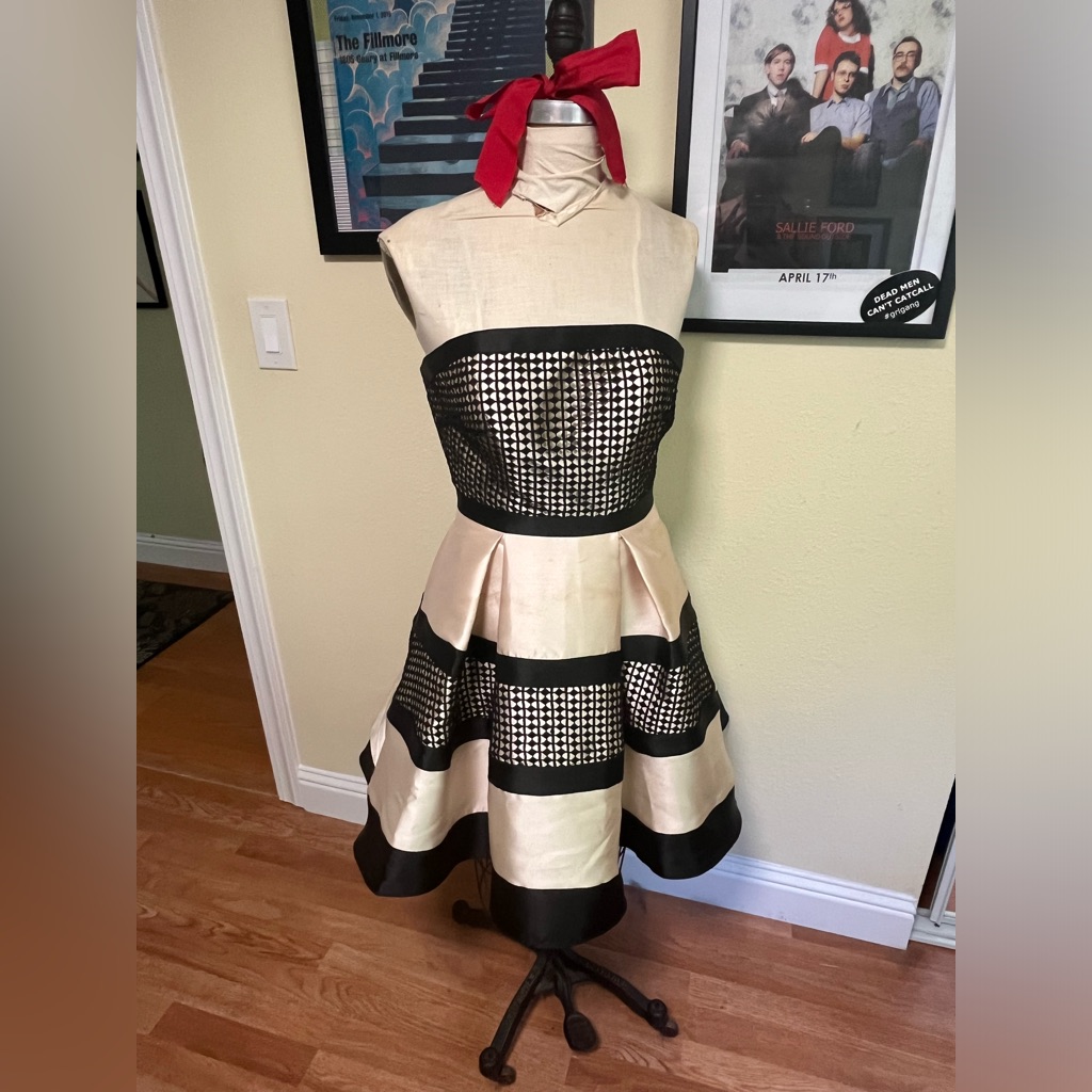 Strapless Party Dress, Size 10